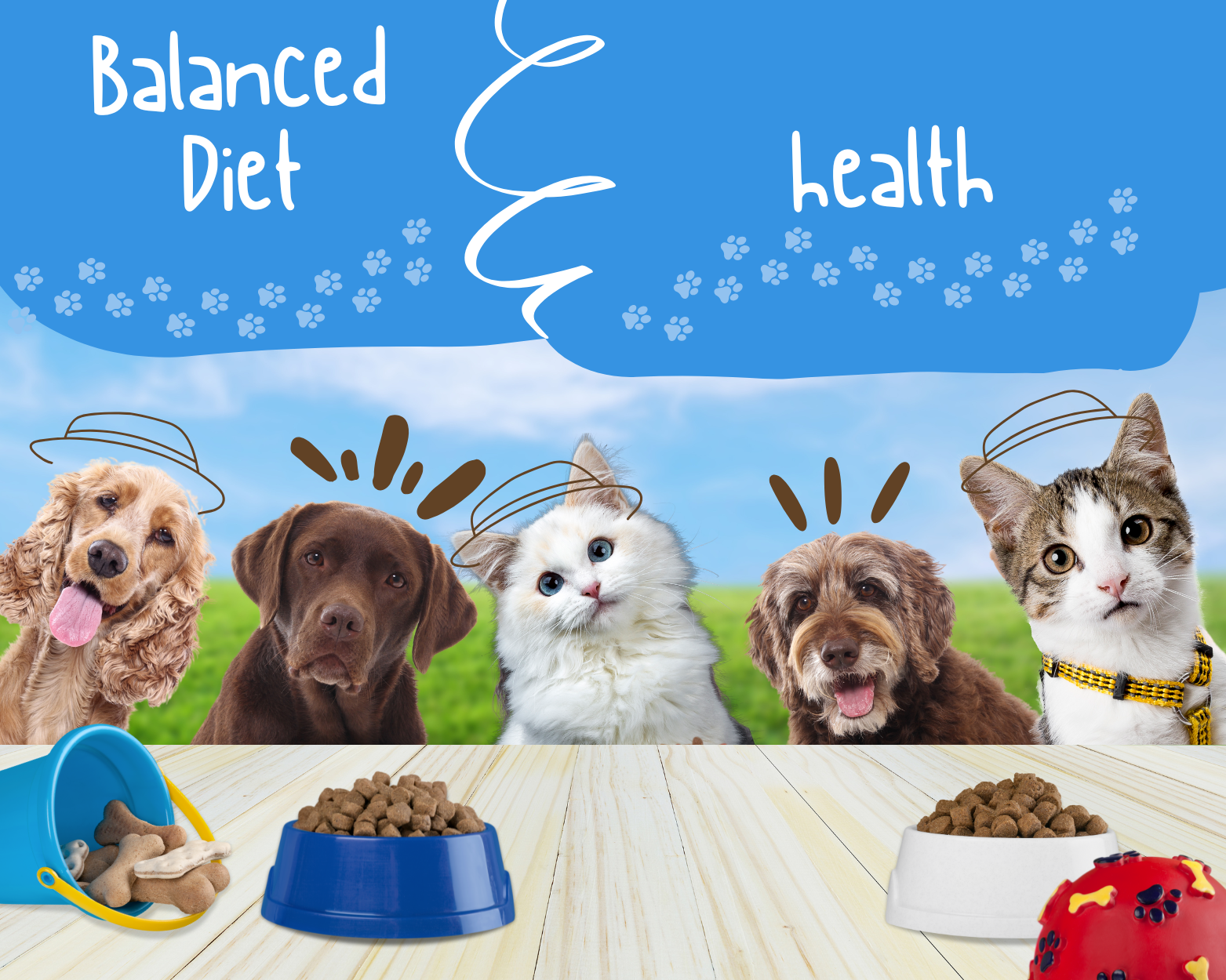 Why is a Balanced Diet Important?